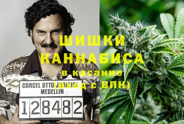 молекула духа Переславль-Залесский