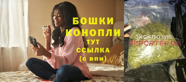 Альфа ПВП Осинники